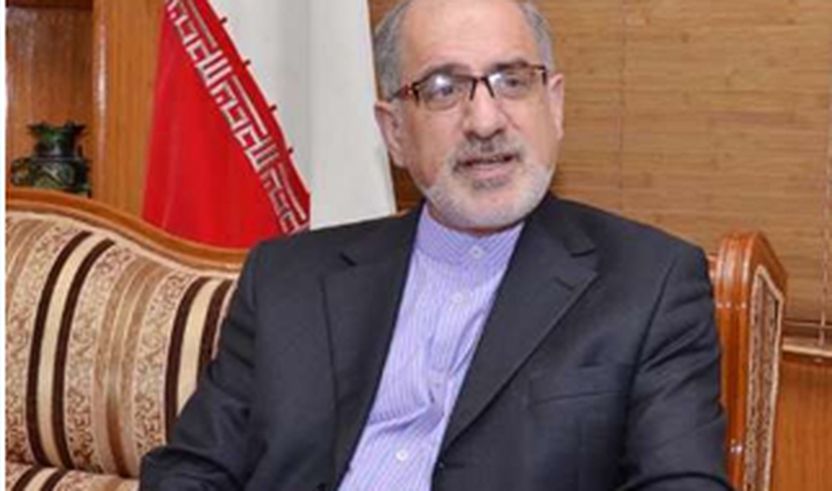 Ambasadori i Iranit në Indi, Gulamriza Ansari